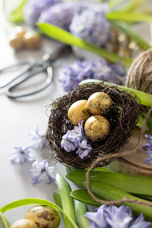 Pasqua a Rimini 2026